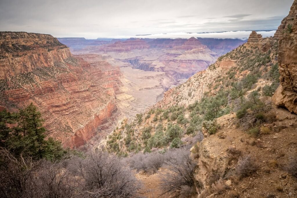 A sweeping view of the Grand Canyon's towering cliffs and distant valleys under an overcast sky. A rugged trail winds through sparse vegetation along the canyon rim.