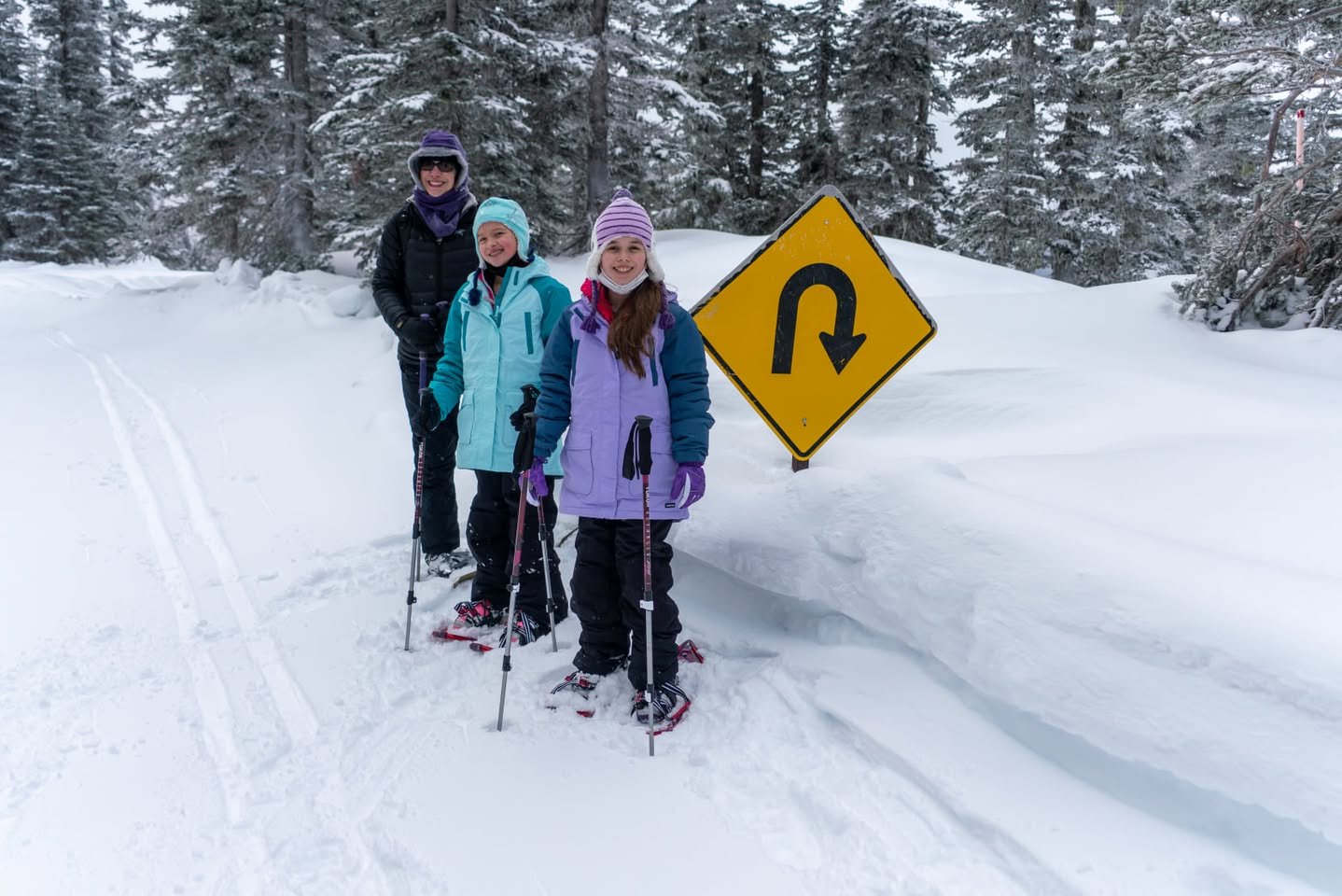 Hurricane Ridge Snowshoe Three cross-country skiers wearing winter hats stand beside a snow-covered road next to a U-turn warning sign in a snowy forested area.