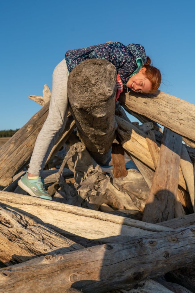 A child climbing a large driftwood structure on a Pacific Northwest beach under a clear blue sky.
