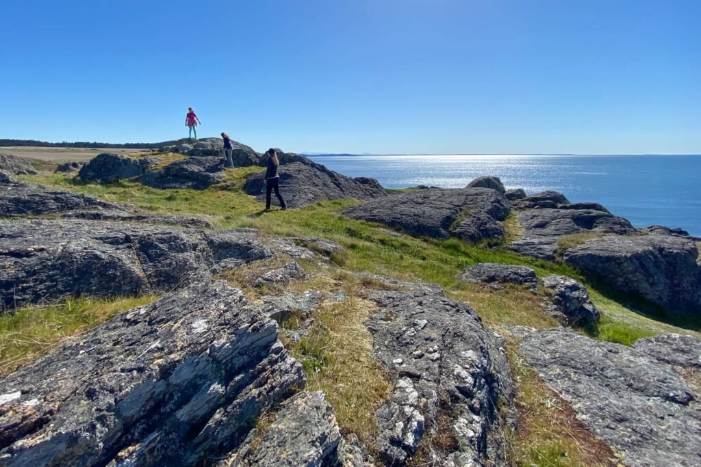 Hikers walking on a vibrant green and gray rocky coastal spit overlooking the bright blue ocean.