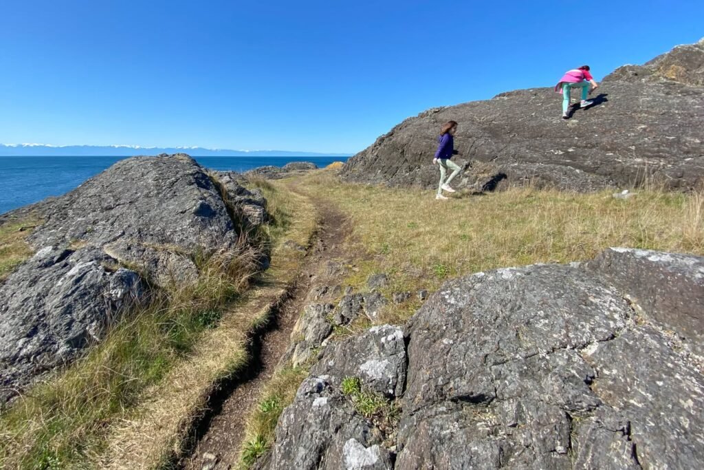 Hikers on a rugged coastal trail near the ocean with a blue sky in the background.