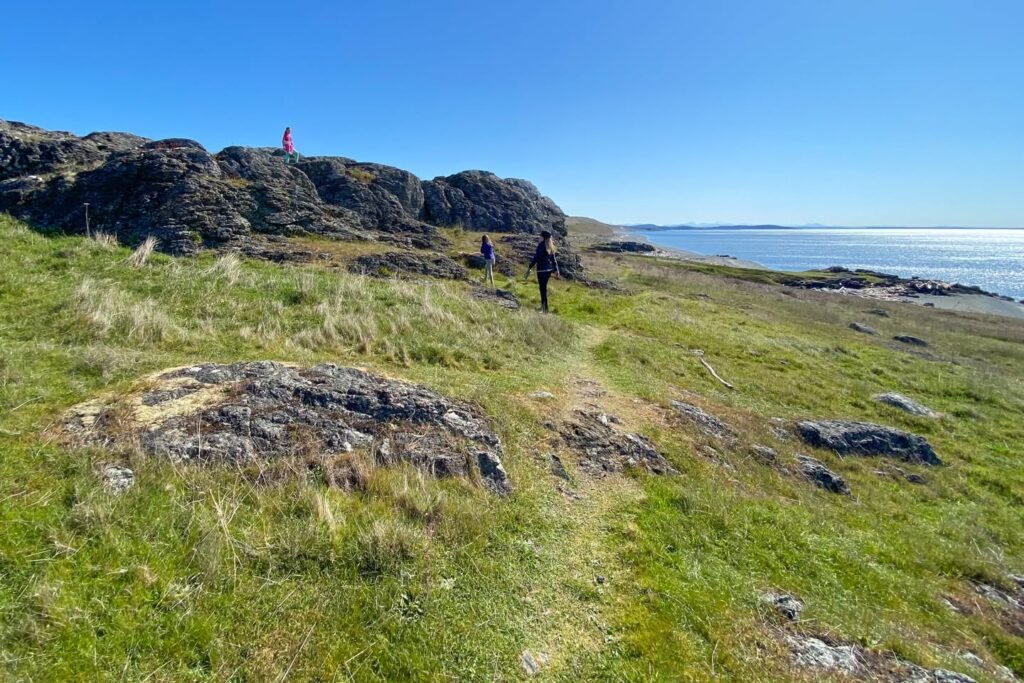 A scenic view of a green coastal hill with rocky outcrops, overlooking the ocean under a sunny blue sky.