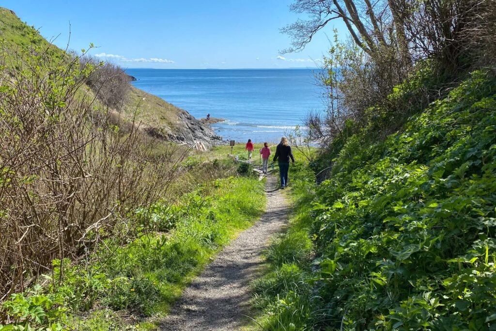 A scenic coastal path winding through lush greenery with the Pacific Ocean visible in the distance.