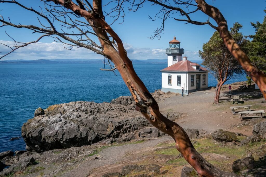 A scenic view featuring a historic coastal lighthouse framed by a redwood branch. The clear blue water and rugged shoreline create a serene atmosphere.