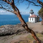 Sammamish River Trail A scenic view featuring a historic coastal lighthouse framed by a redwood branch. The clear blue water and rugged shoreline create a serene atmosphere.