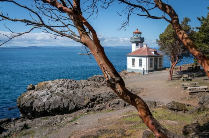 A scenic view featuring a historic coastal lighthouse framed by a redwood branch. The clear blue water and rugged shoreline create a serene atmosphere.