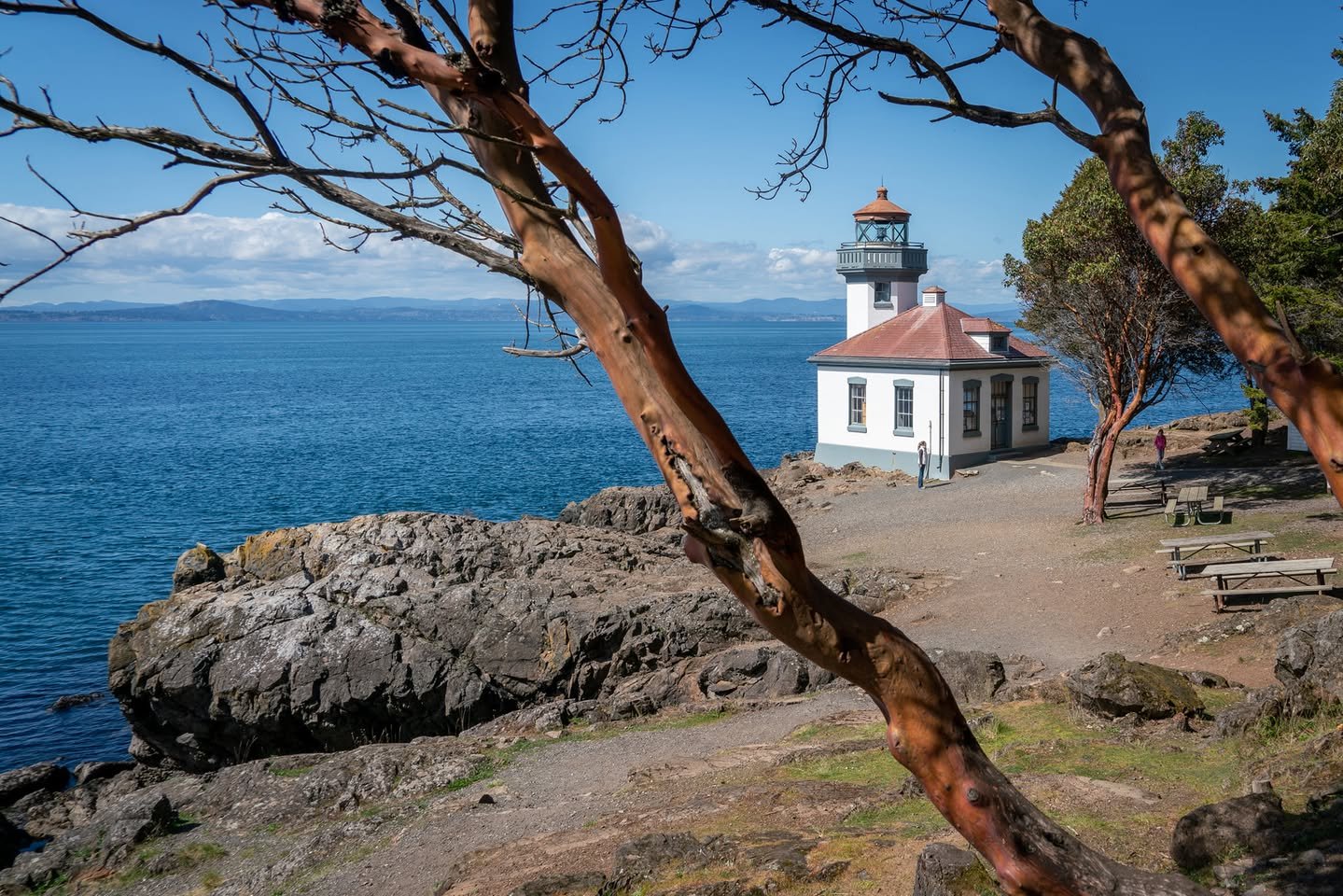 A scenic view featuring a historic coastal lighthouse framed by a redwood branch. The clear blue water and rugged shoreline create a serene atmosphere.