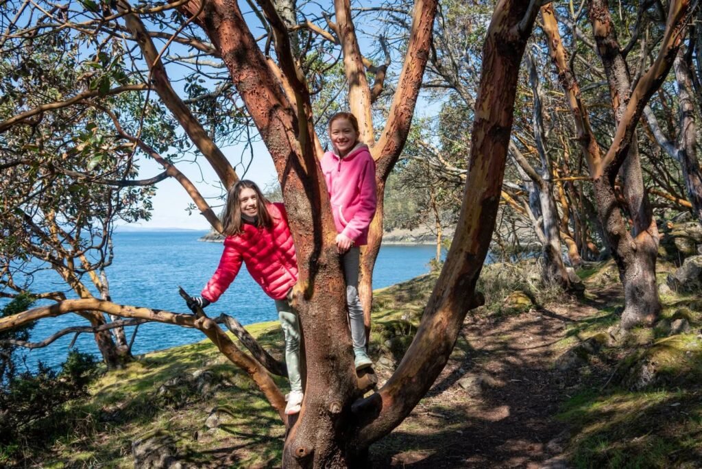 Two individuals in pink jackets playfully climb a coastal tree. A scenic blue bay and sunlit forest floor provide the background.