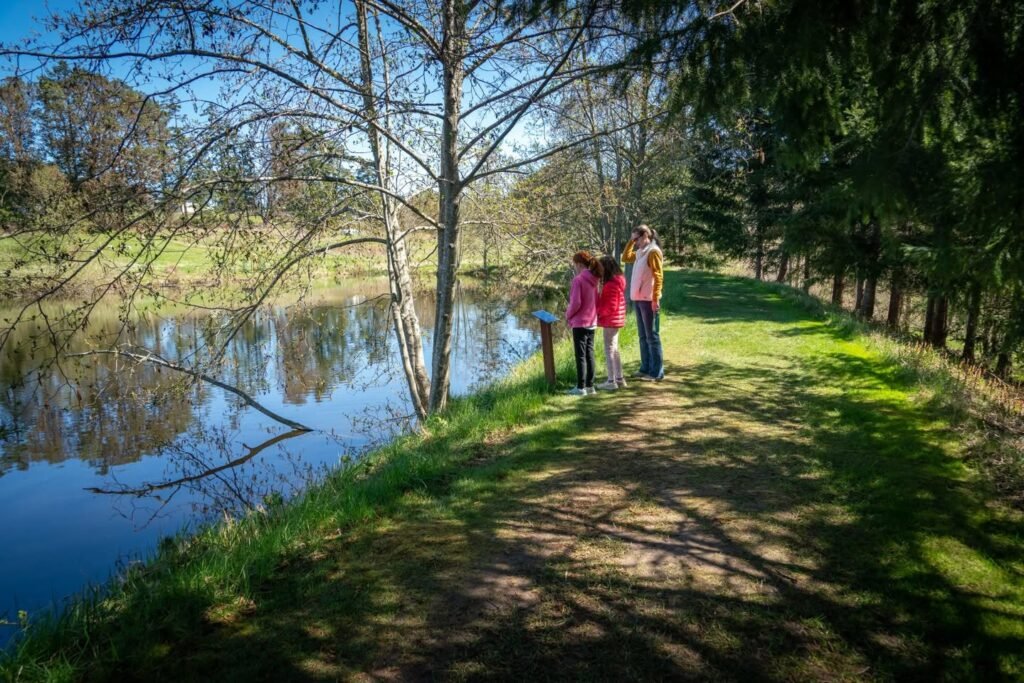 A scenic pathway winds along a calm river bordered by tall evergreen trees. The picture shows tree reflections on a calm blue lake and a path leading into sunlit greenery.
