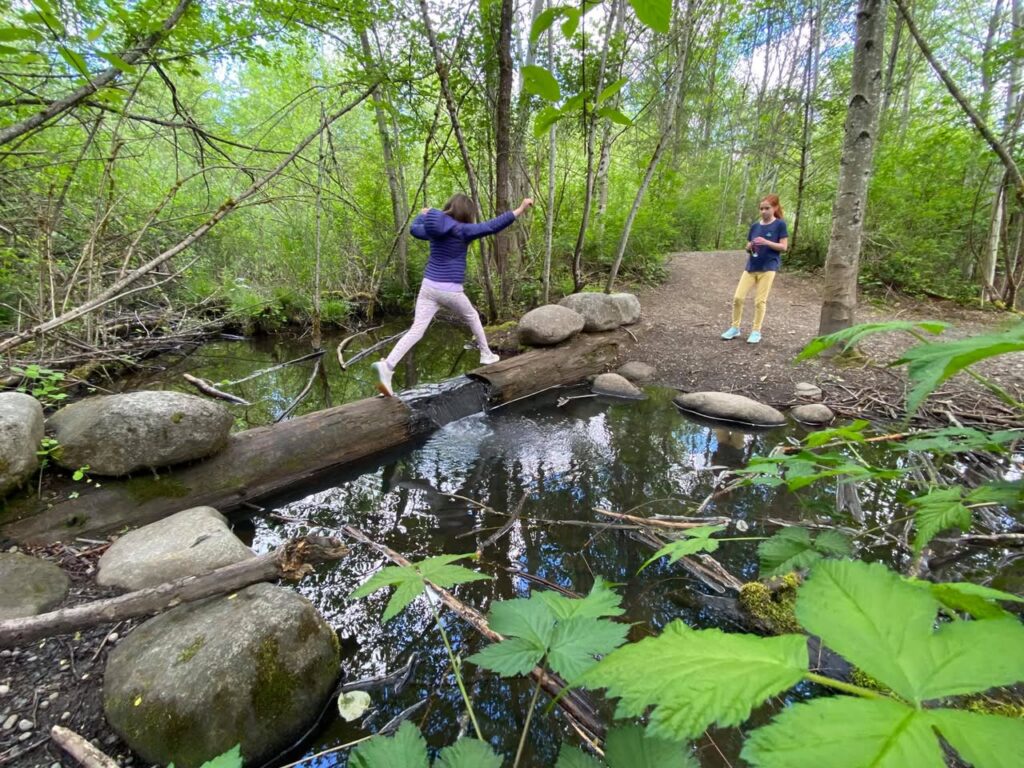 A hiker balances on a log while traversing a small creek in a vibrant green forest. The scene includes a winding trail and another person in the background.