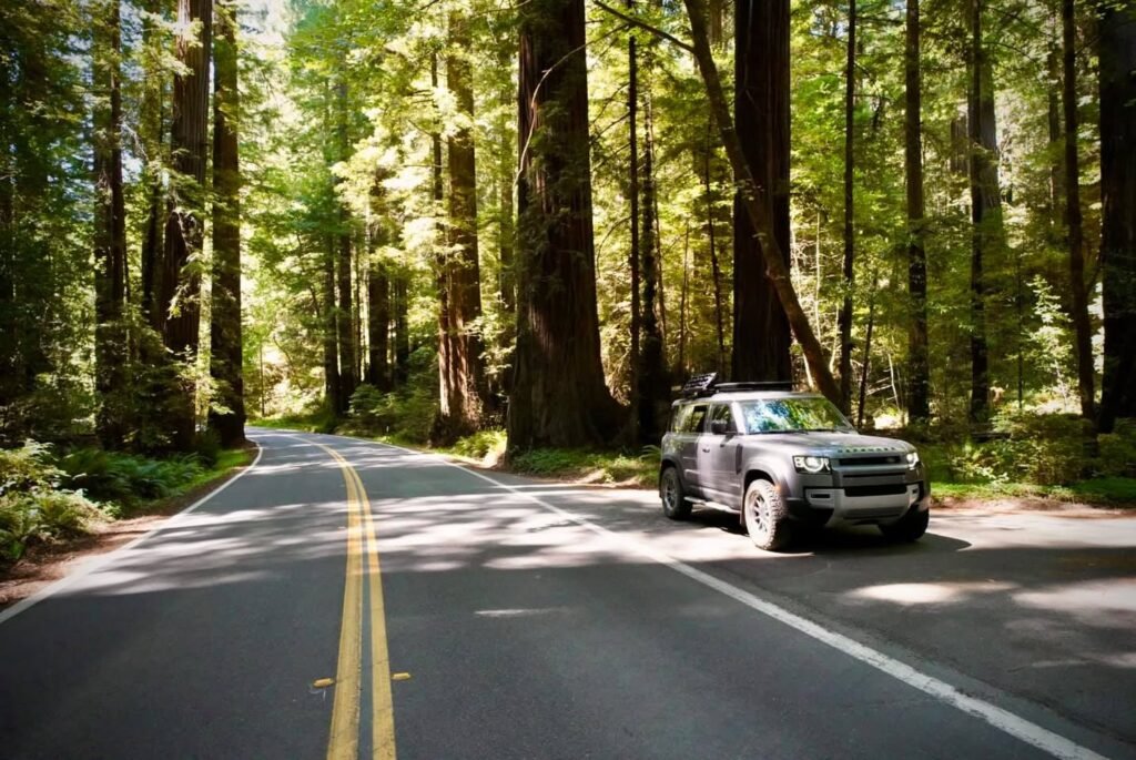 A silver SUV is parked on the shoulder of a two-lane road cutting through a dense forest with tall redwood trees.