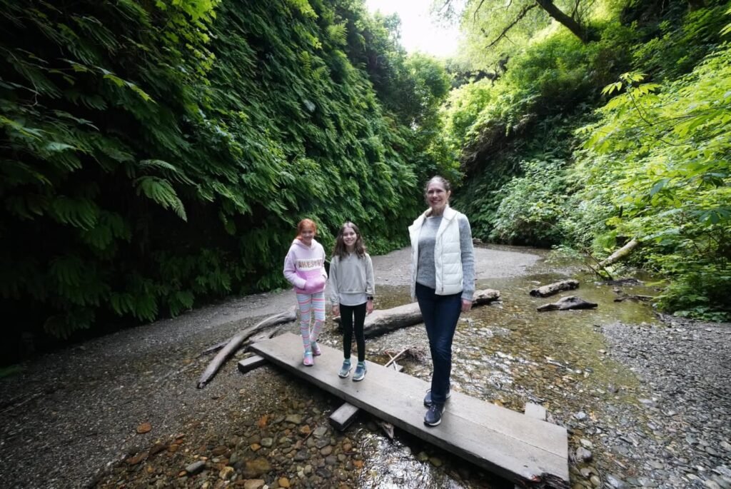 Three people walking across a wooden plank bridge over a creek in a densely wooded area.