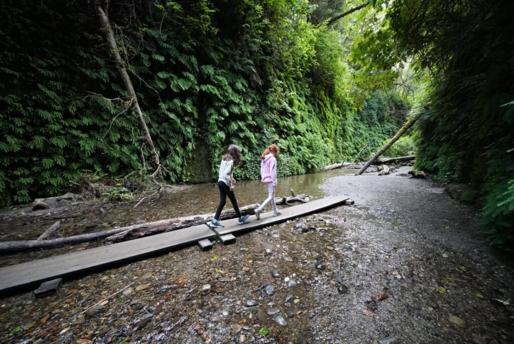 Children balancing on a wooden plank over a shallow creek in a forested setting