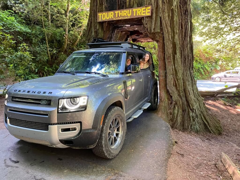 A gray Land Rover Defender drives through the Tour Thru Tree, a famous carved redwood landmark. The vehicle is on a narrow paved path with lush green foliage surrounding the area.