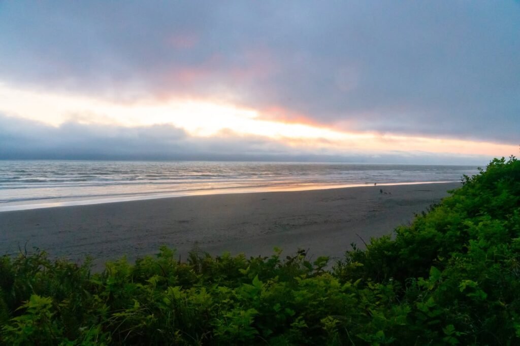 A panoramic coastal view featuring a sunset breaking through clouds and lush green cliff-side foliage overlooking the ocean.