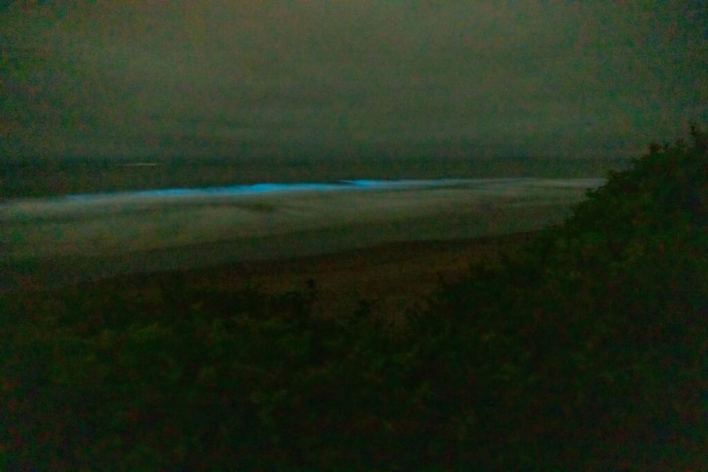 Dark coastal landscape with a bright blue glow illuminating the distant horizon at twilight. The scene features low vegetation in the foreground under dim natural light.