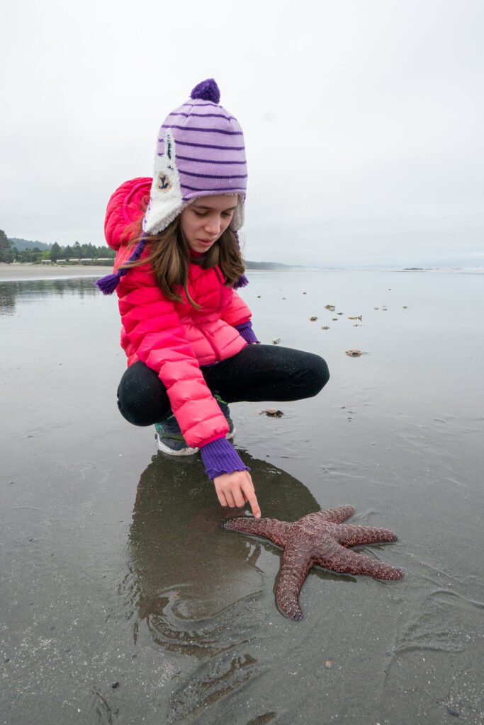 A traveler in a beanie and puffy coat touches a bright red starfish on a wet beach.