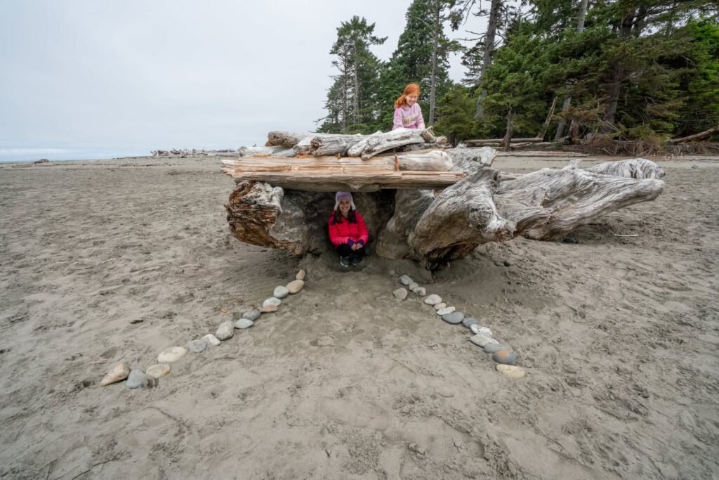 Children playing on a large piece of weathered driftwood on a sandy beach in the Pacific Northwest.