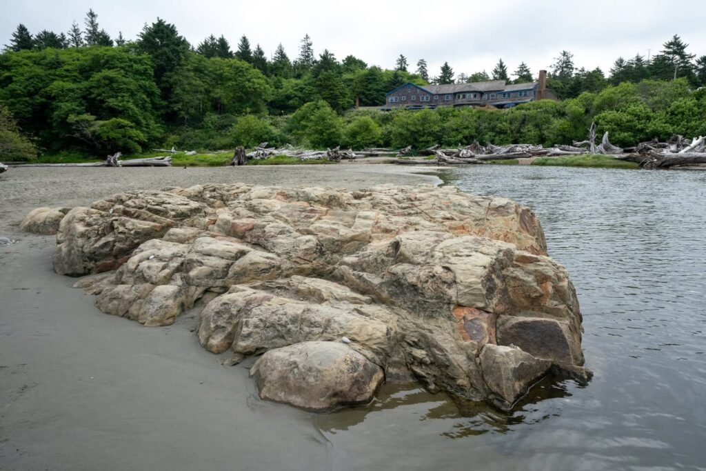 A detailed view of a rocky shore with calm water and a lush green forest background, showcasing the natural beauty of the Pacific Northwest.