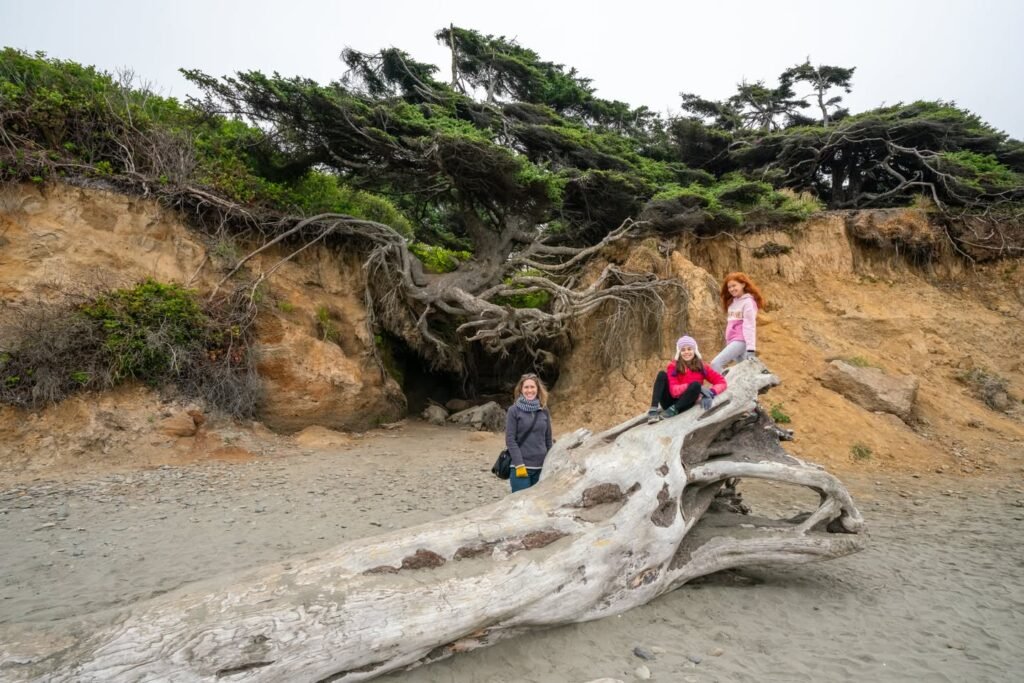 Family posing with a large piece of driftwood on a sandy beach near Oregon's Pacific coast.