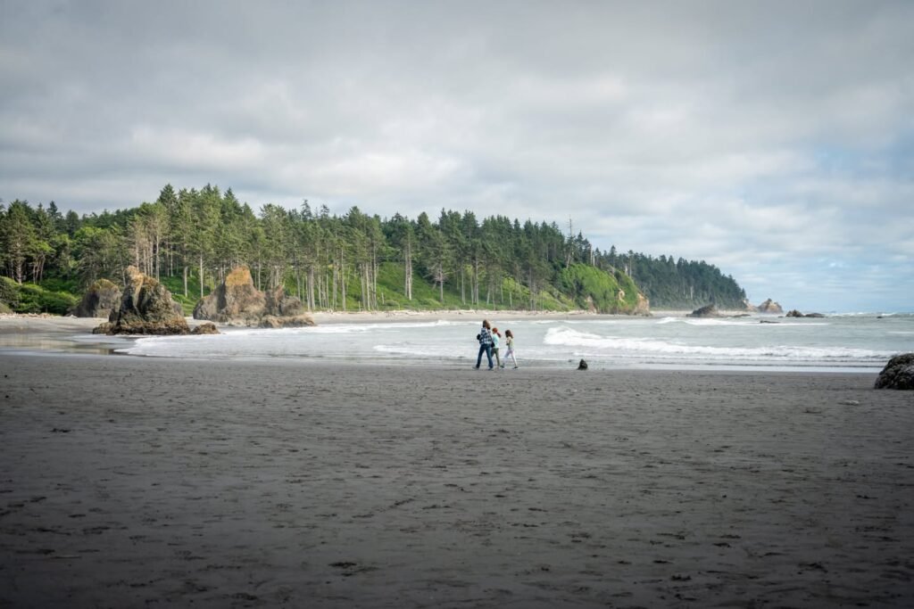 A wide sandy beach with a forested coastline in the background under an overcast sky.