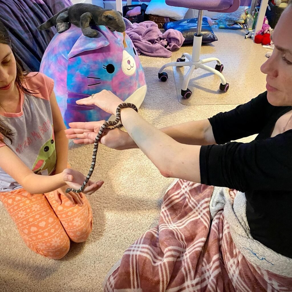 Two people interact with pet snakes near a colorful plush toy. A small snake rests on the toy while another is held by an adult.