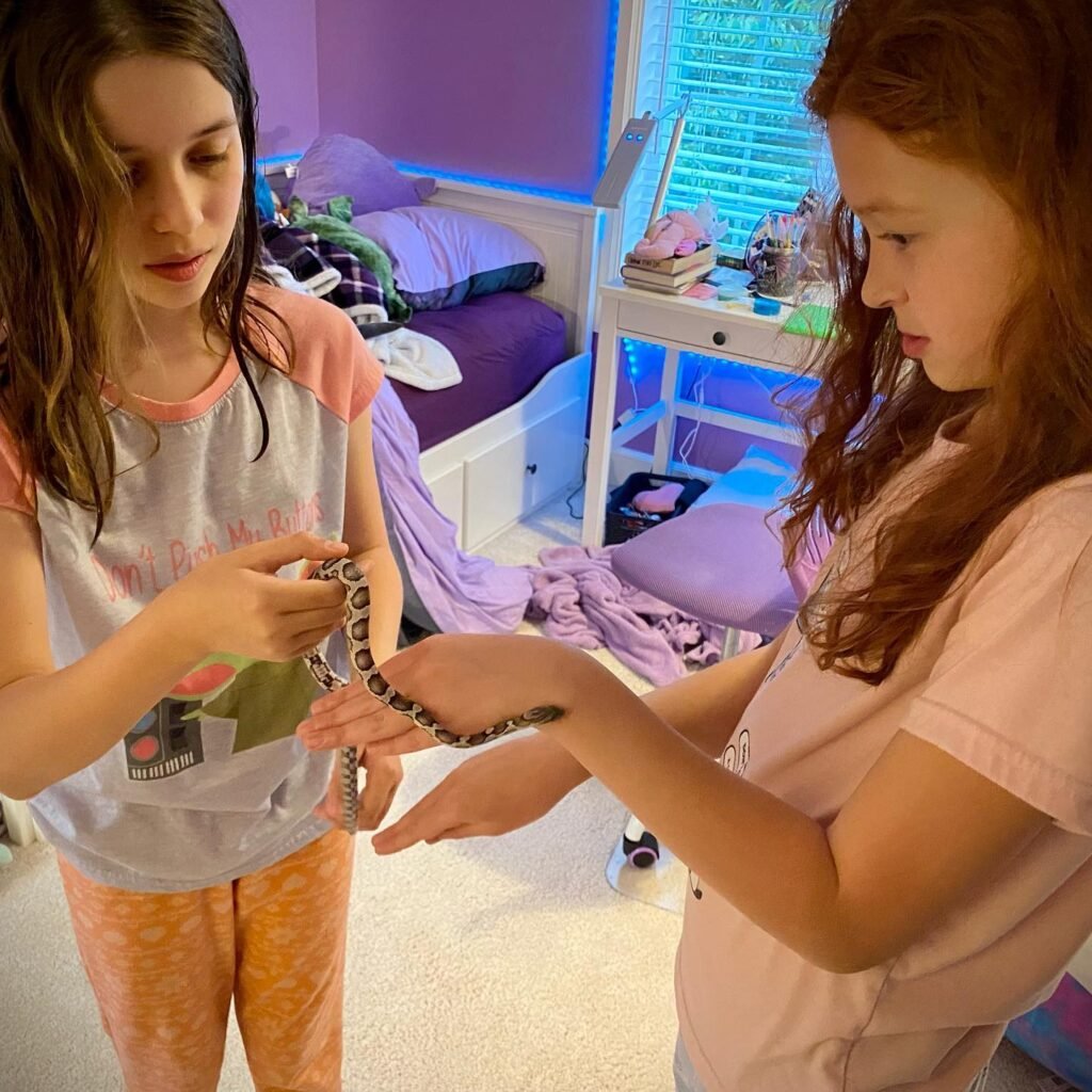 Girls playing with beads in a room