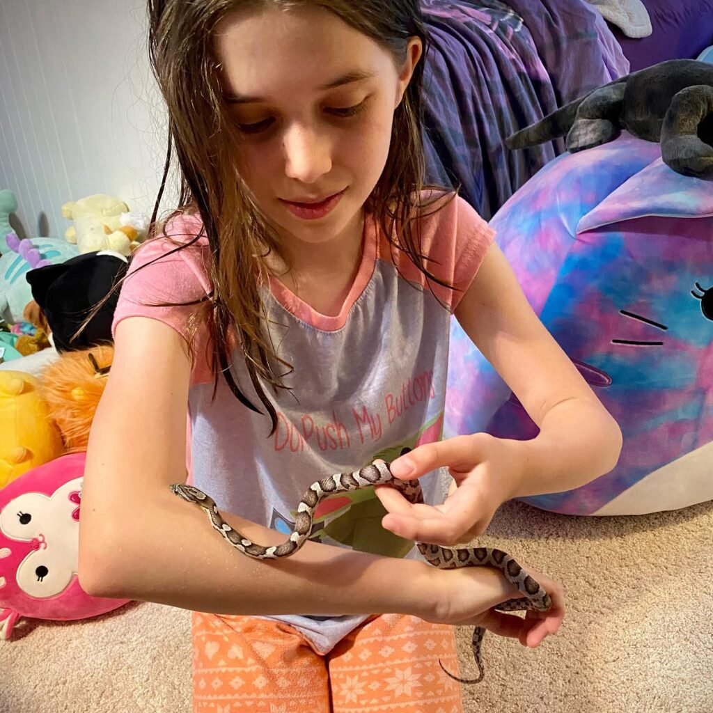 A person gently handles a patterned snake in a colorful room with stuffed toys in the background.