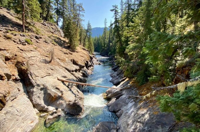 A panoramic view of a mountain stream winding through a rocky hillside, surrounded by dense evergreen trees under a clear blue sky.