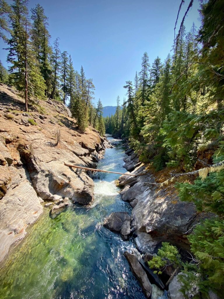 A panoramic view of a mountain stream winding through a rocky hillside, surrounded by dense evergreen trees under a clear blue sky.
