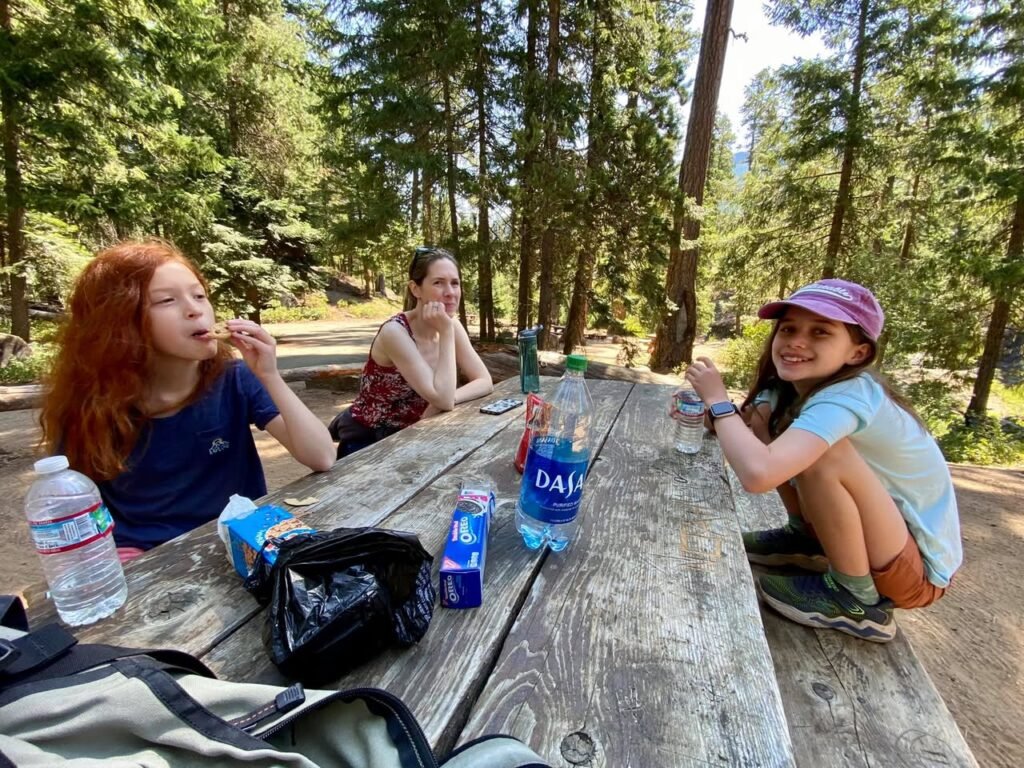 A family enjoys a break at a wooden picnic table in a tall redwood forest. Hikers take a snack and hydration pause during their hike.
