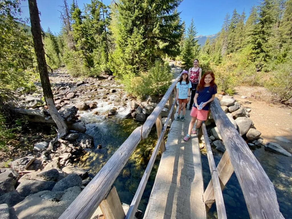 Individuals enjoying nature on a wooden footbridge in a lush, forested area with a rocky creek.