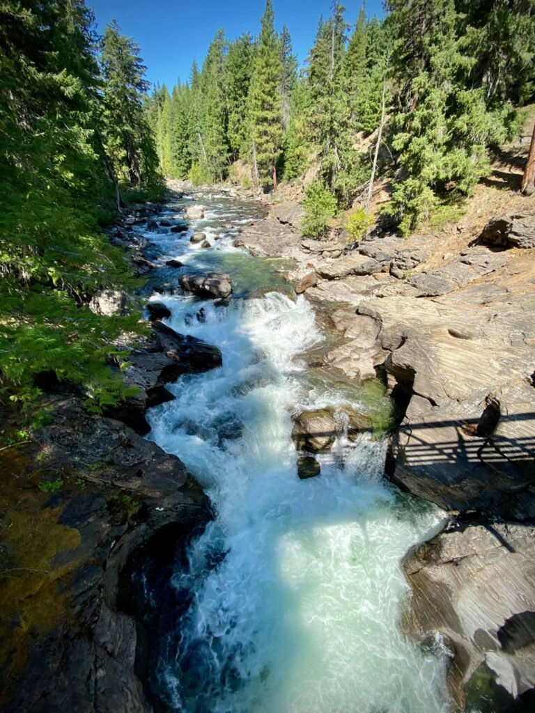 A beautifully rushing river flows through a dense forest with tall evergreens and rocky landscapes.