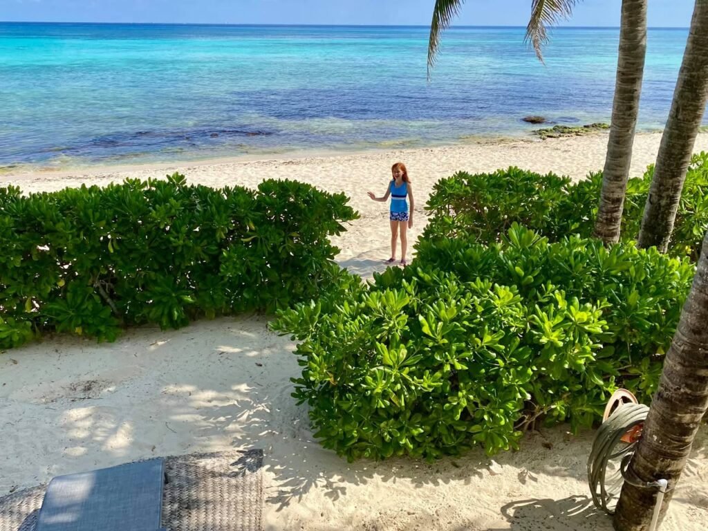 A serene tropical beach scene with turquoise water and lush greenery. A person stands on a concrete path bordered by bushes and palm trees.