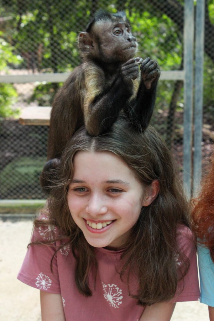 A young woman smiles brightly while a small chimpanzee sits perched on her head at a zoo. The background features lush greenery and a fenced enclosure.