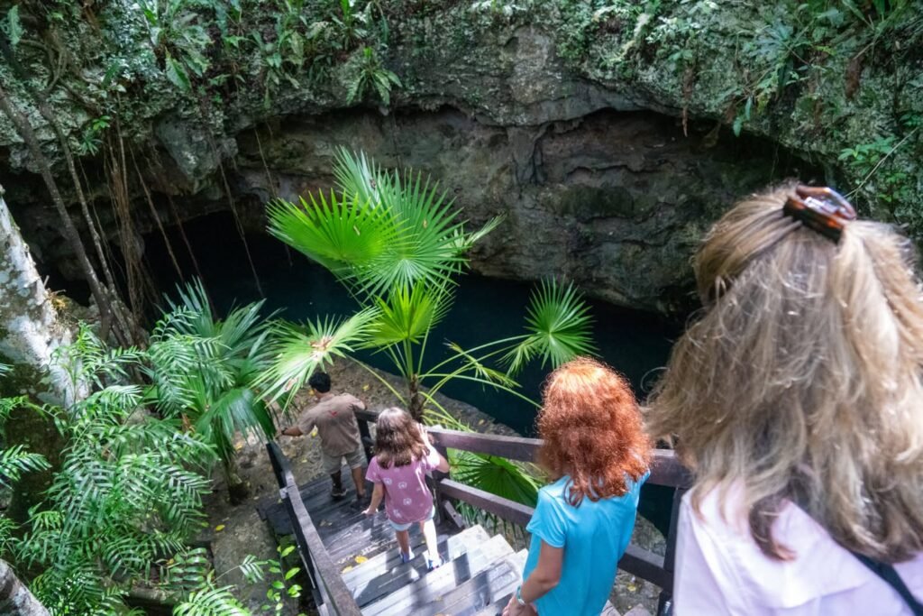 A group of people standing on a stone platform in a jungle cenote surrounded by tropical vegetation and dark water. Green fans of a palm tree frame the scene with rocky outcrops above.