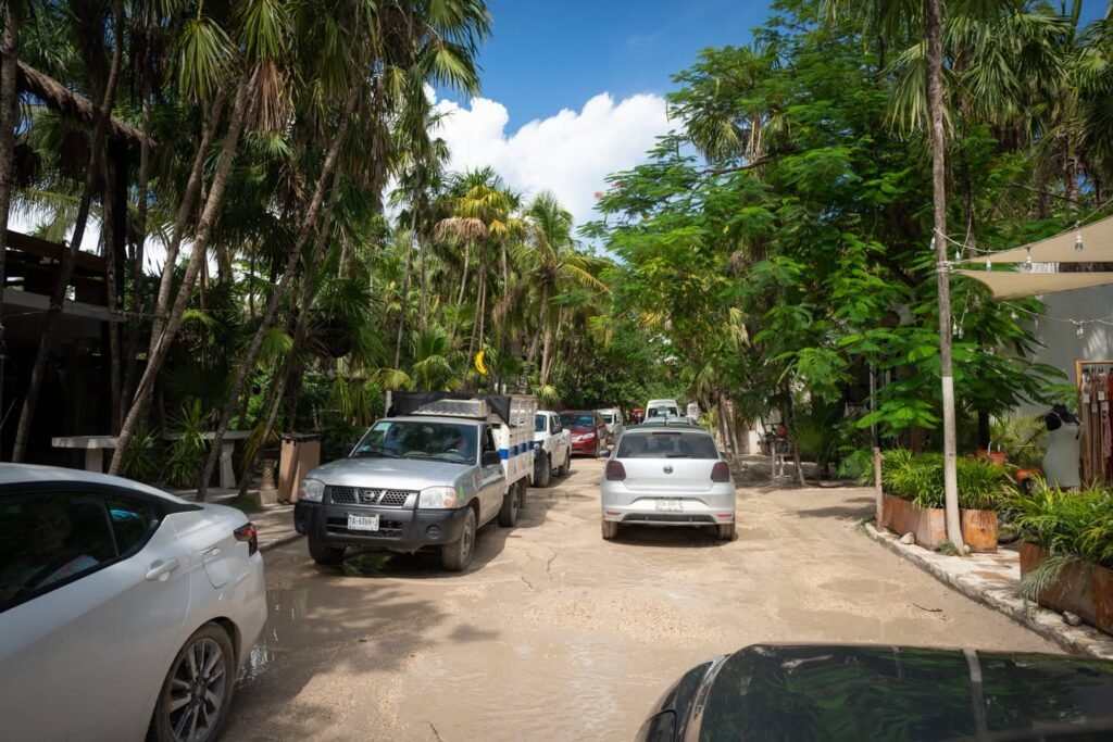 A sunny parking area with vehicles surrounded by lush palm trees and a blue sky. Ideal for travel photos.