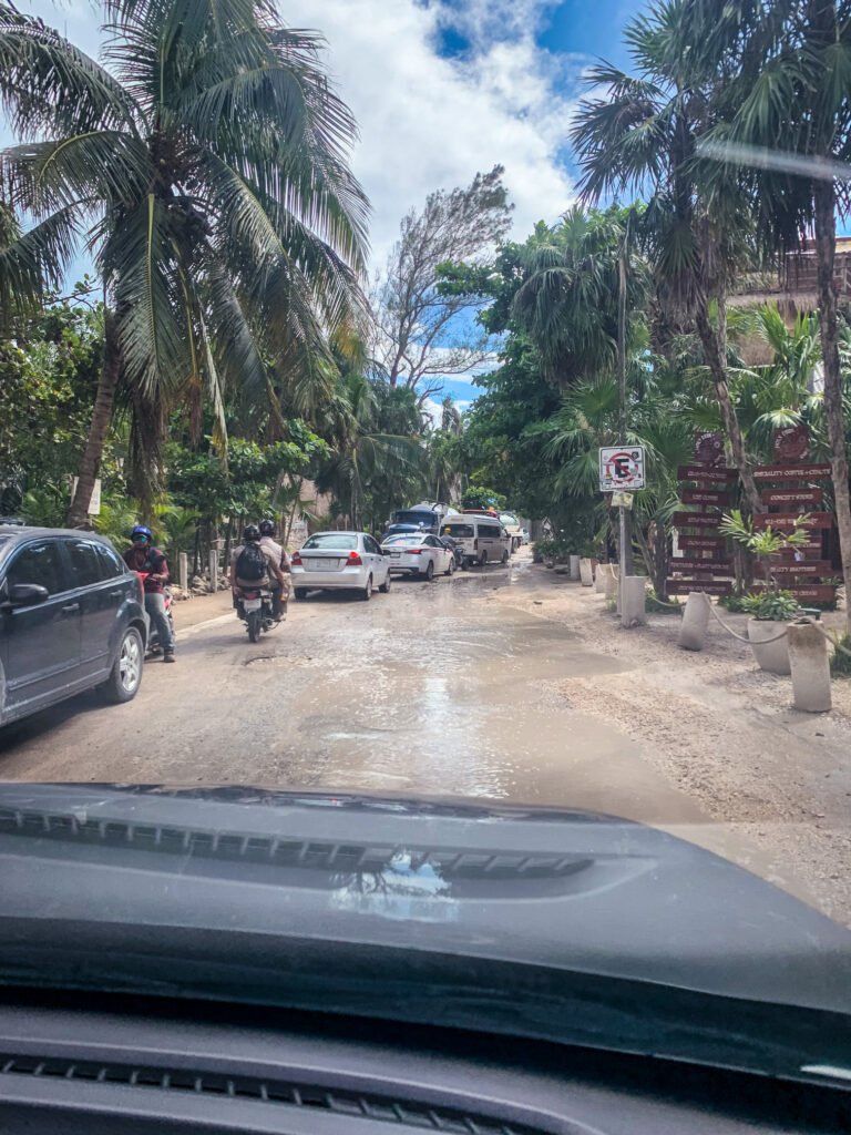 A car perspective of a wet, tropical street lined with palm trees and vehicles under a blue sky.