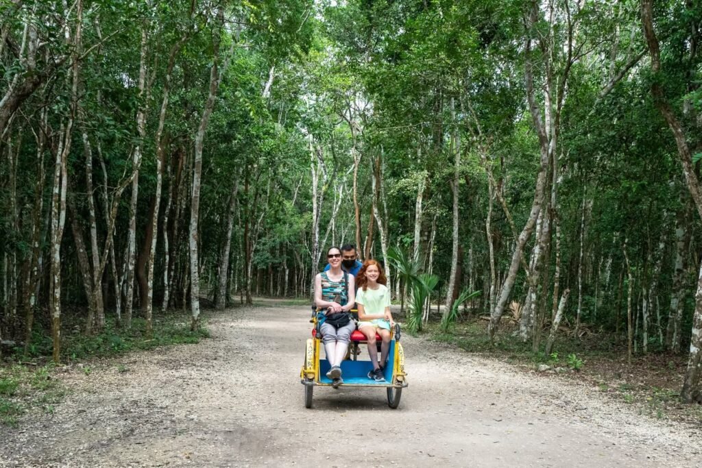 A group rides a multi-wheeled vehicle on a gravel path lined with tall, slender trees.