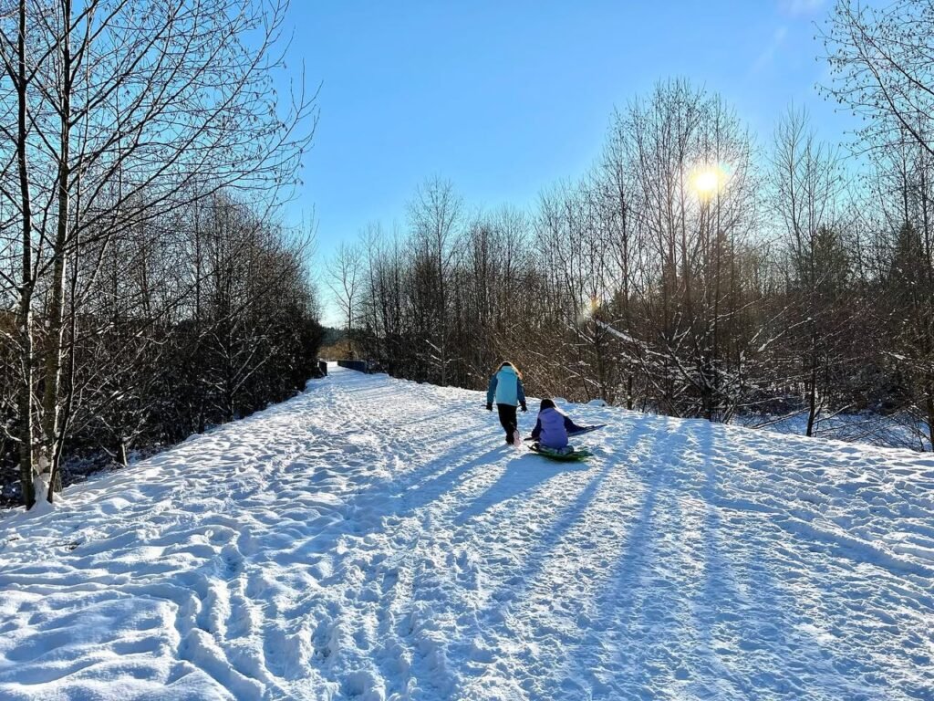 People enjoying winter activities on a snowy hill with one on a tube descending