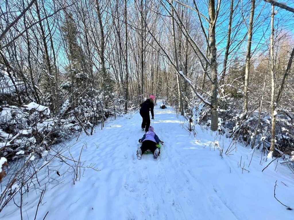 A person pushes another riding a small sleigh through a snow-covered forest. Bare trees line a wide white path under a clear blue sky.