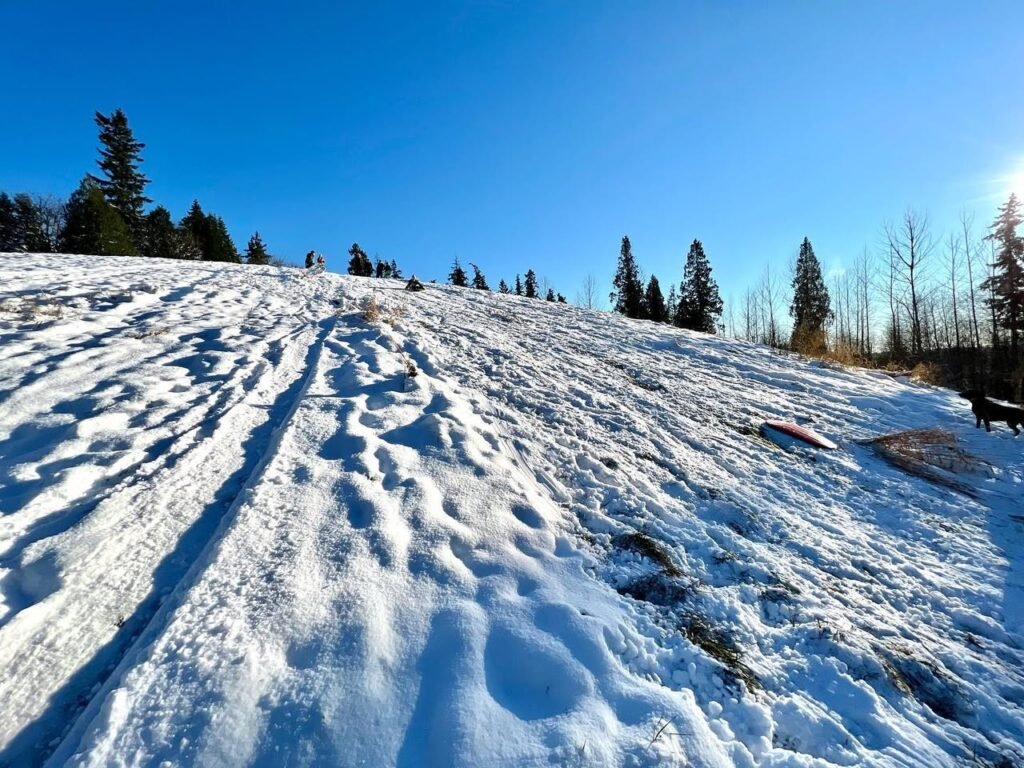 Frozen mountain trail under a clear blue sky with evergreen trees on the horizon.