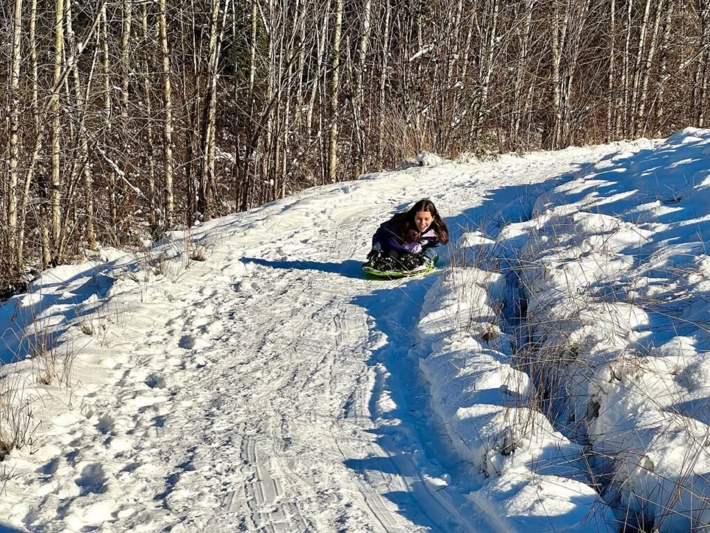 A person sledding down a snowy hill beside a dense stand of bare trees.