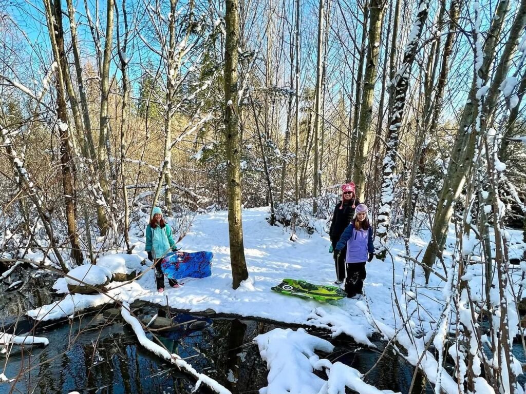 People near a stream in a snowy deciduous forest with fallen logs.