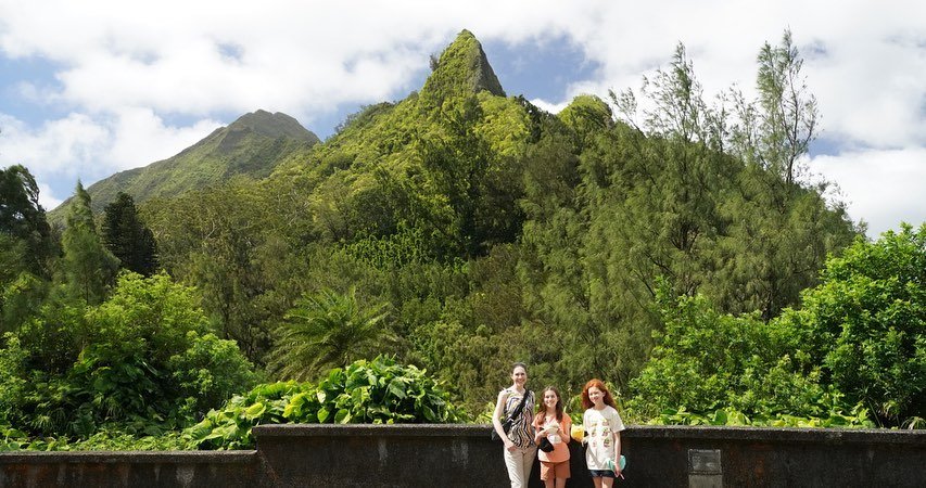 A group of travelers stands at a scenic overlook against a backdrop of lush, dense green mountains under a bright sky.