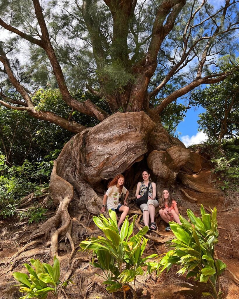 A group explores a massive, hollow tree with a natural cave at its base and sprawling trunk.