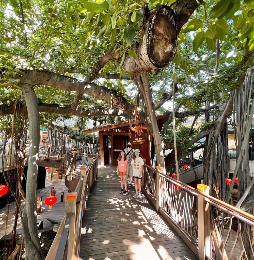 A wooden walkway at Wumingzong treehouse complex in Xingping, Hengyang, Hunan, under dense green banyan trees.