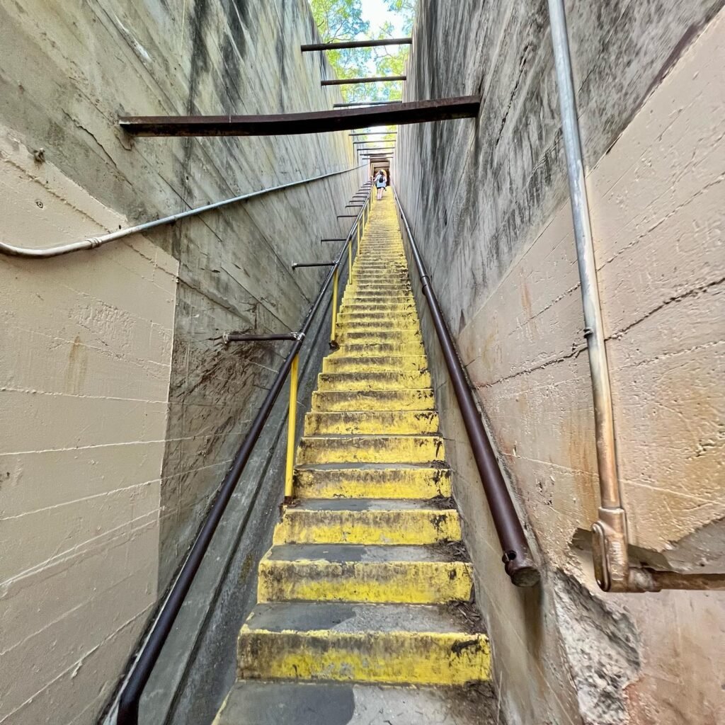 A steep, narrow staircase with yellow-painted risers runs between tall, weathered concrete walls.