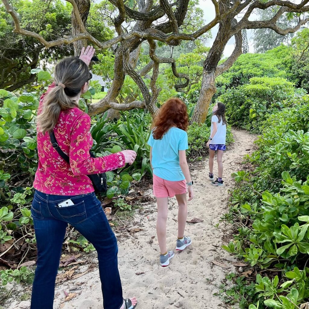 People walking along a sandy path surrounded by dense green bushes and trees.