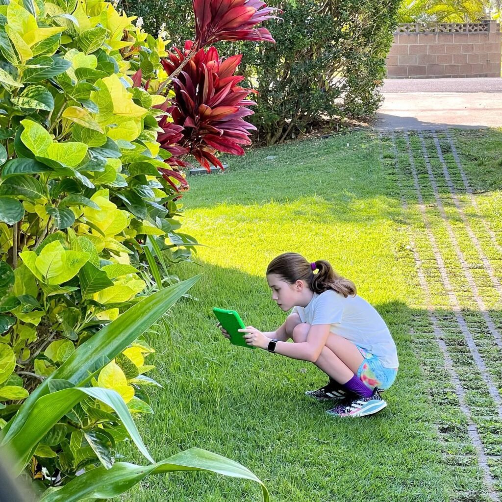 A child crouches on the lawn with a green book next to a hedge with red foliage.